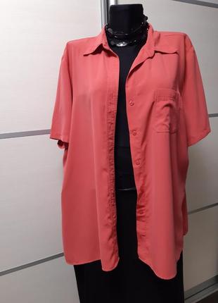 Блуза 22 розміру 2