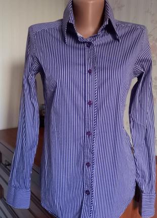 Сорочка блузка в смужку блуза бавовна