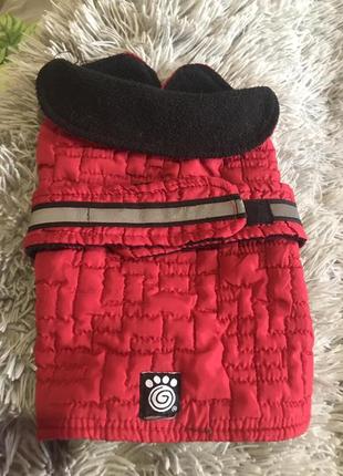 Кофти пайти накидки собакам