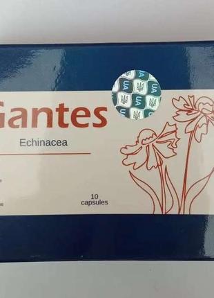 Gantes echinacea від чоловічих хвороб гантес ехіноцея