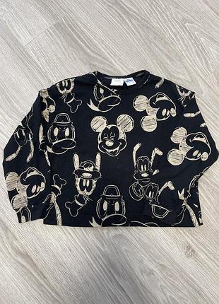 Реглан zara