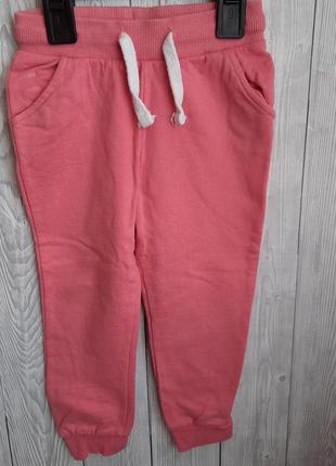 Брюки/спортивные штаны