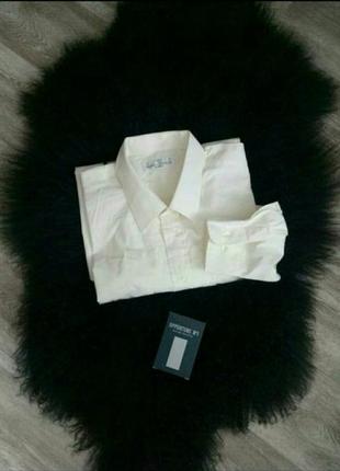 Мужская рубашка цвета айвори  17 / .еur 43 cm