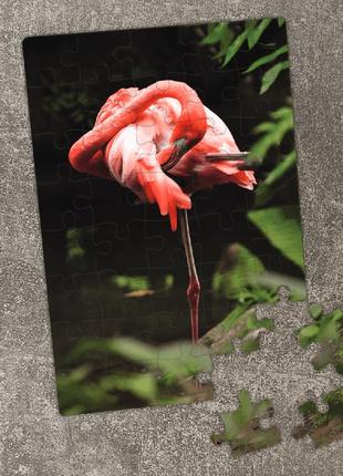 Пазл розовый фламинго. картон а4, 40