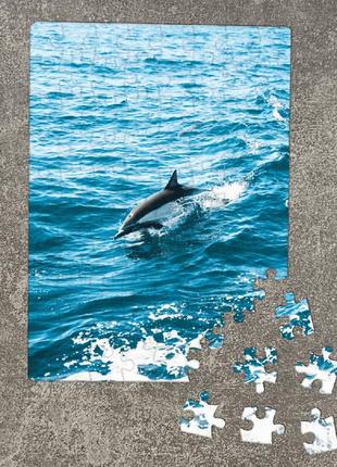 Пазл дельфин. картон а5, 801 фото