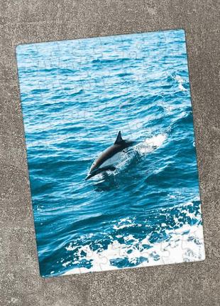 Пазл дельфин. картон а5, 802 фото