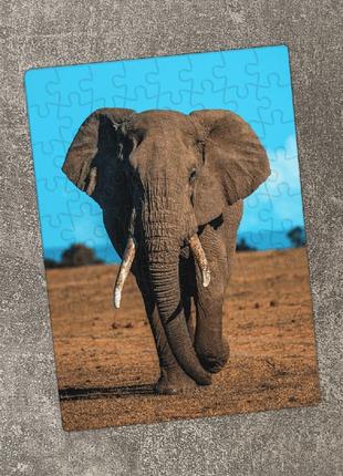 Пазл слон. картон а5, 802 фото