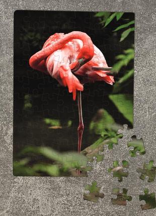 Пазл розовый фламинго. картон а4, 80