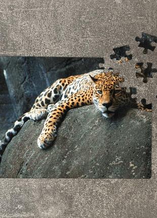 Пазл леопард на камне. картон а5, 80