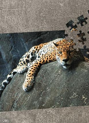Пазл леопард на камне. магнитный а4, 120