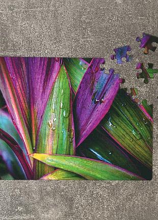 Пазл листья. магнитный а5, 80