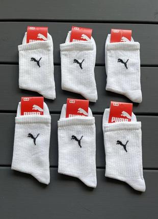 Шкарпетки puma (6 пар) носки високі подарунок носочки набір комплект (41-45 розмір)