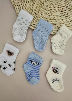 Шкарпетки для новонародженого хб