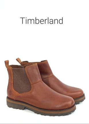 Шкіряні жіночі черевики челсі timberland courma kid оригінал