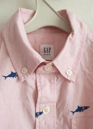 Детская рубашка принт акулы