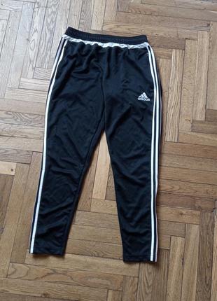 Чоловічі спортивні штани adidas tiro15 trg2 фото