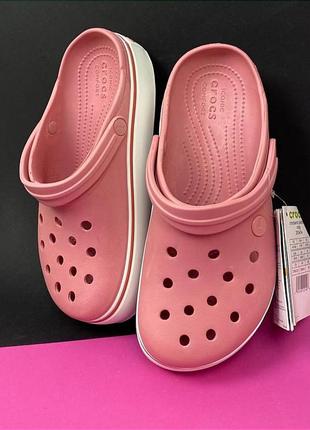 Жіночі крокси на платформі crocs crocband platform clog blossom/white рожеві