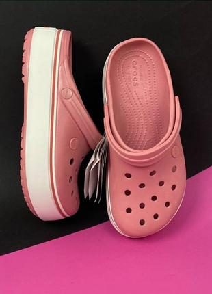 Жіночі крокси на платформі crocs crocband platform clog blossom/white рожеві в наявності