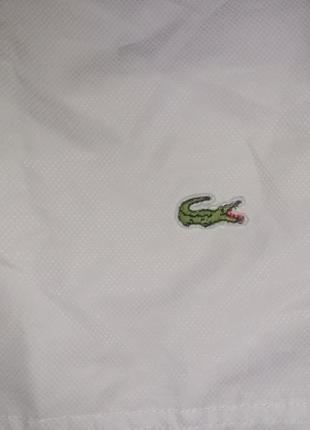 Шорти lacoste3 фото