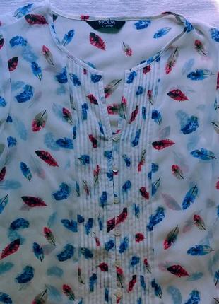 Блузка туника приталенная из полупрозрачного шифона с красивым принтом перьями4 фото