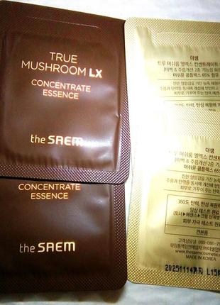 The saem true mushroom lx concentrate essence лифтинг эссенция с грибным комплексом