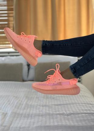 Классные женские кроссовки adidas yeezy boost 350 кораллово-розовые4 фото