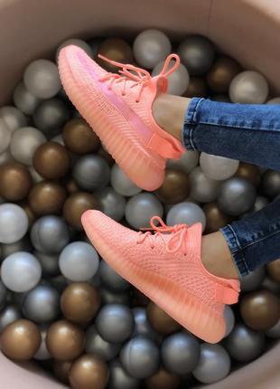 Классные женские кроссовки adidas yeezy boost 350 кораллово-розовые3 фото