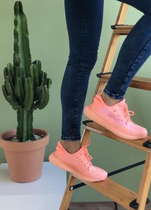 Классные женские кроссовки adidas yeezy boost 350 кораллово-розовые6 фото