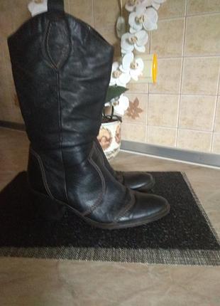 Чоботи демісезонні