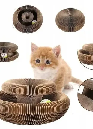 Интерактивная когтеточка игрушка из картона с кошачьей мятой и мячиком1 фото