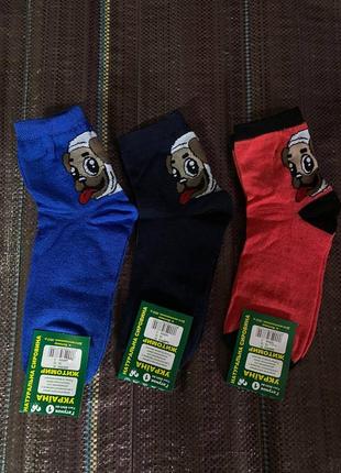 Шкарпетки набір 3 шт. демі 36-40 єдиний розмір