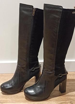 Високі чоботи pepe jeans