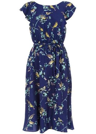 Романтична повітряна сукня міді dorothy perkins