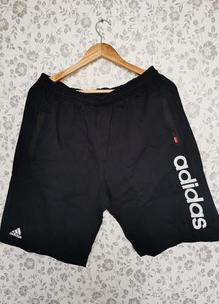 Шорти короткі adidas 48-56 розміри. акція!