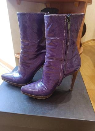 Продам стильні і зручні чоботи бузкового кольору бренду casadei