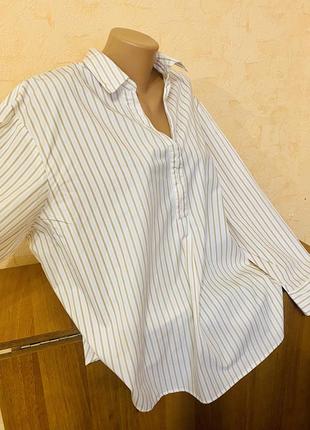 Большой выбор блуз рубашек / коттоновая полосатая блуза большого размера2 фото