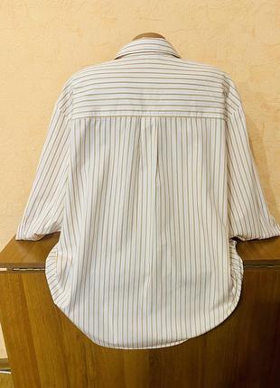 Большой выбор блуз рубашек / коттоновая полосатая блуза большого размера3 фото