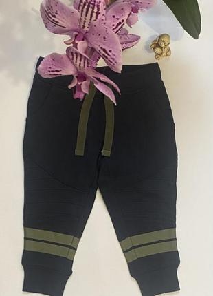 Lupilu німеччина штани,джогеры