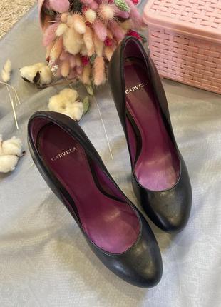 Кожаные туфли carvela6 фото