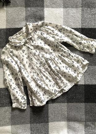 Детская блуза zara, 2/3роки(98см)