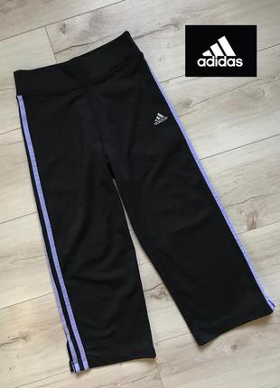 Спортивные бриджи шорты лосины капри adidas climalite1 фото