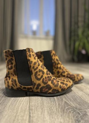 Леопардові черевички