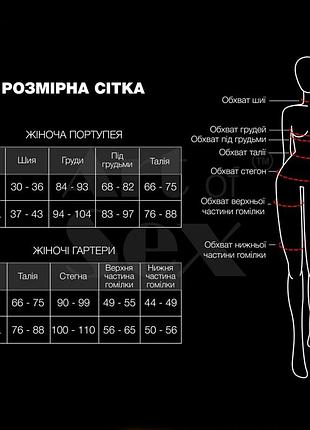 Гартери 5