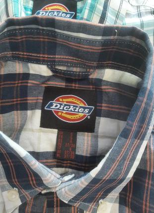 Рубашки dickies разноцветные красивые4 фото