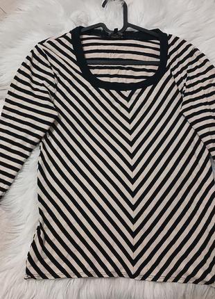 Жіночий бежевий реглан в чорну смужку з квадратним вирізом