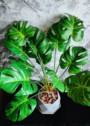 Филодендрон декоративный, мостера искусственная