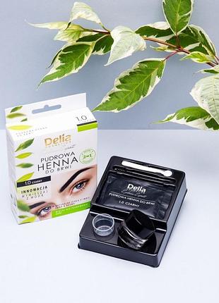 Хна для біотатуажу брів професійна delia cosmetics