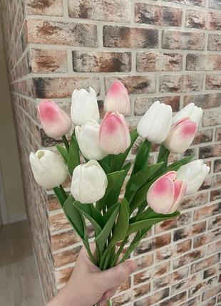 Латексні тюльпани