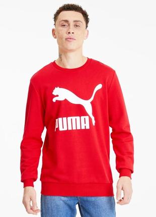 Чоловічий світшот puma