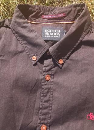 Мужская классическая рубашка scotch&amp;soda essentials regular fit organic cotton poplin5 фото